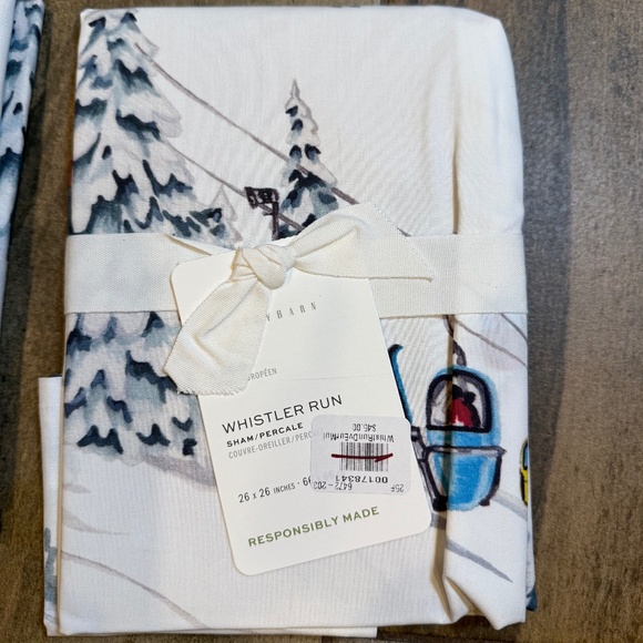 Whistler Run Euro Sham - Pottery Barn - Picture 3 of 6